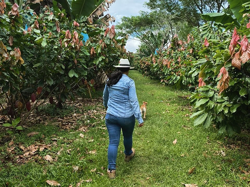 Tiolita Colombian Coffee Farm