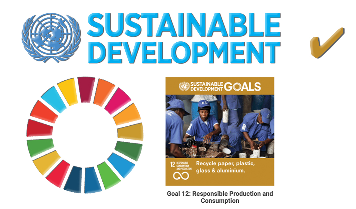 UN Sustainability Goal 12