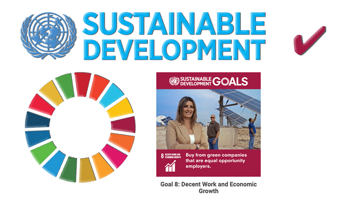 UN Sustainability Goal 8